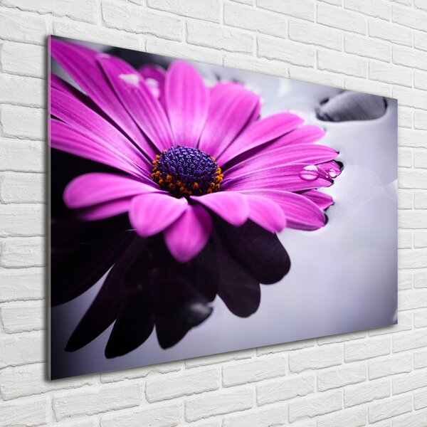 Tablou sticlă gerbera