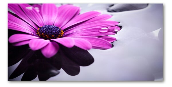 Tablou sticlă gerbera
