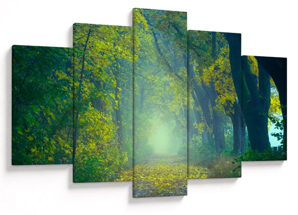 Tablou cu drum dea lungul cu copaci (150x105 cm)
