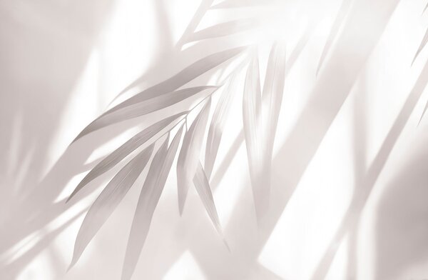 Fototapet Umbrele delicate ale frunzelor în lumina zilei, Fototapet abstracte, Fototapet populare, t00832v1 - Tapeko.ro