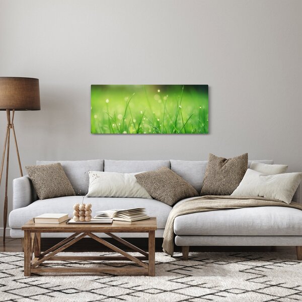Tablou - roua pe iarbă (120x50 cm)