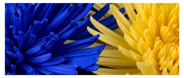 Tablou - detaliu florilor (120x50 cm)
