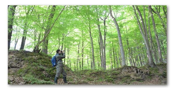 Tablou Printat Pe Sticlă Ornitolog în pădure