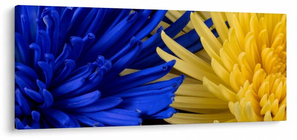 Tablou - detaliu florilor (120x50 cm)