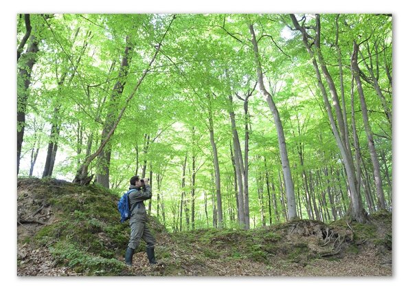 Tablou Printat Pe Sticlă Ornitolog în pădure