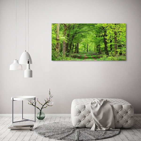 Tablou canvas pădure de primăvară