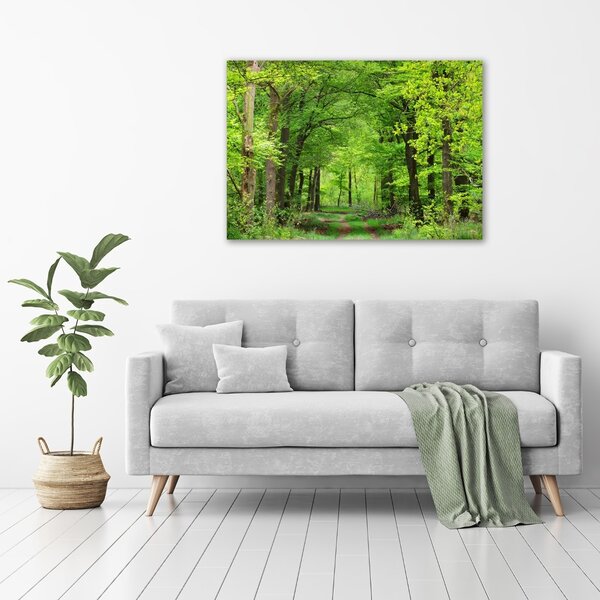 Tablou canvas pădure de primăvară