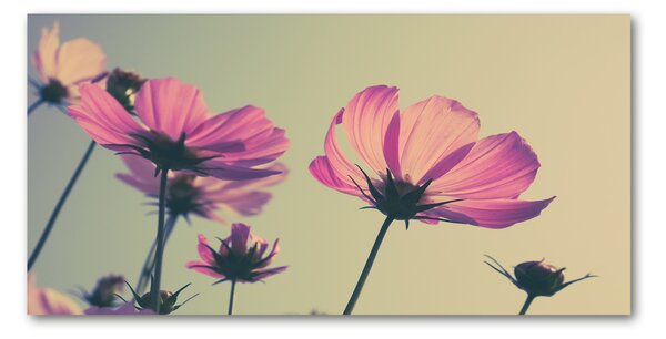 Fotografie imprimată pe sticlă flori roz
