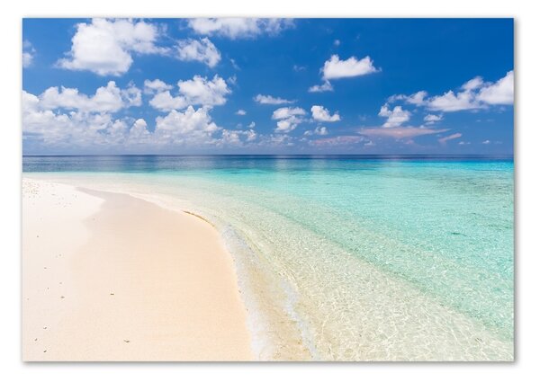 Tablou pe pe sticlă Plajă în Maldive
