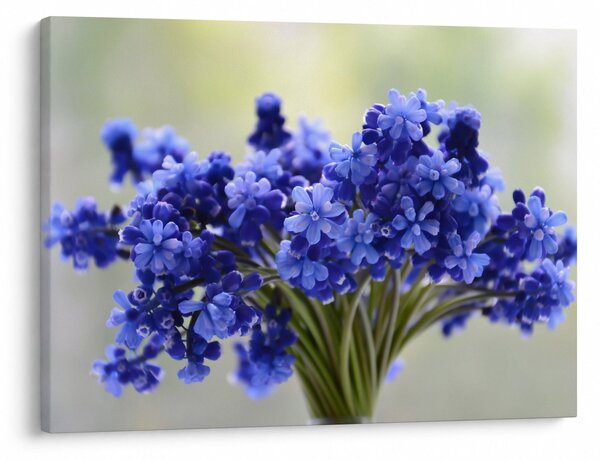 Tablou buchet cu flori albastre (70x50 cm)