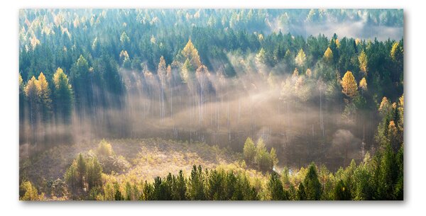 Tablou Printat Pe Sticlă Ceață în pădure