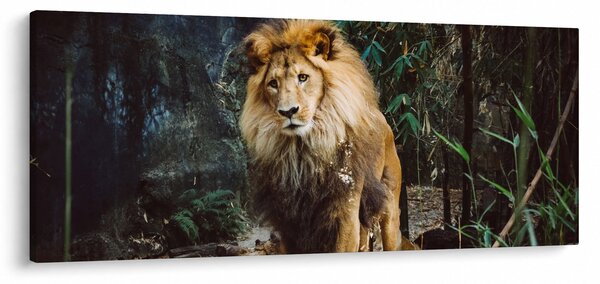 Tablou cu leu în natură (120x50 cm)
