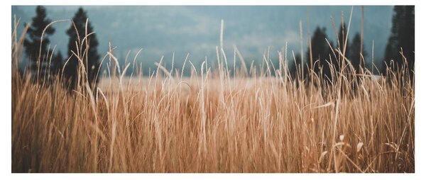 Tablou - detaliu spațiului de luncă (120x50 cm)