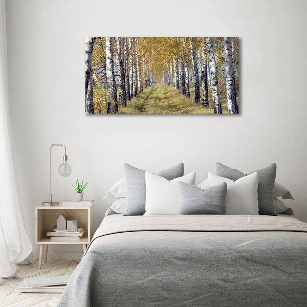 Tablou pe pânză canvas mesteceni în toamna