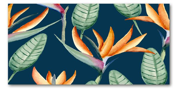 Tablou pe pe sticlă Strelitzia reginae