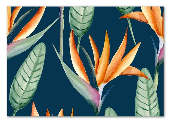 Tablou pe pe sticlă Strelitzia reginae