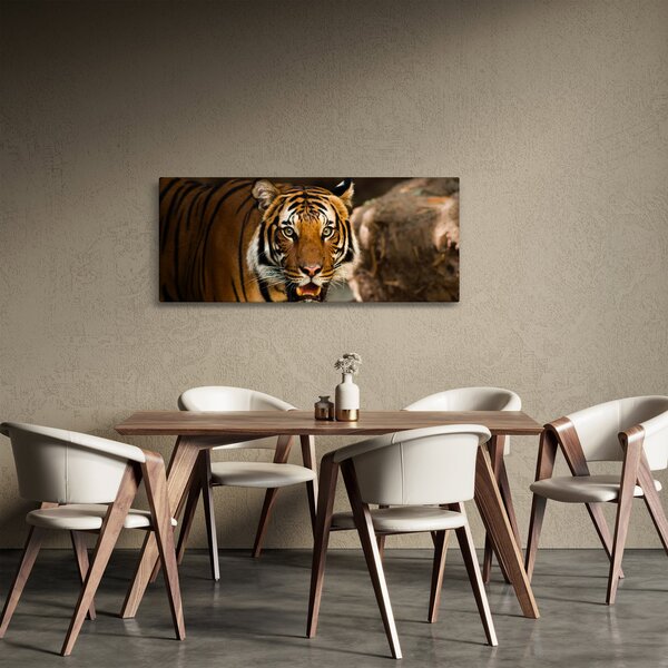 Tablou cu tigrul (120x50 cm)