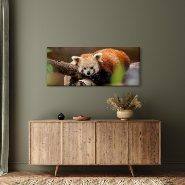 Tablou cu panda roșie (120x50 cm)