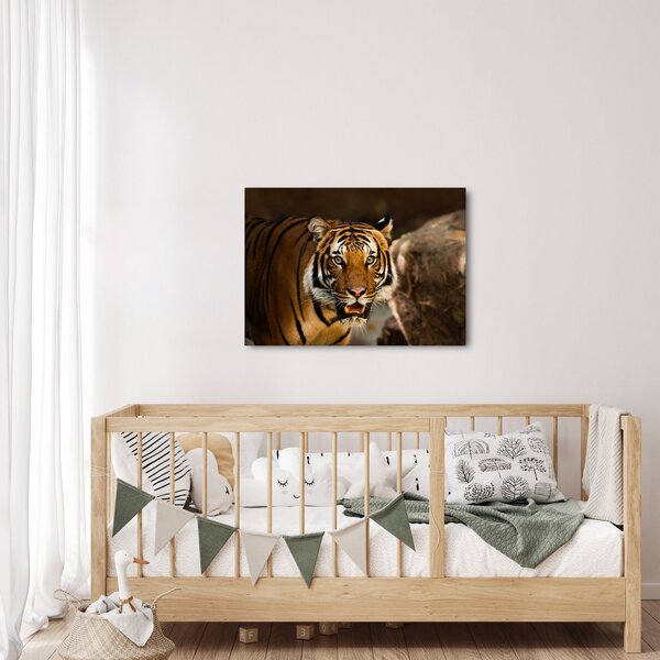 Tablou cu tigrul (70x50 cm)