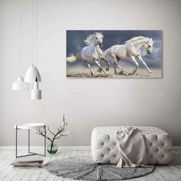 Fotografie imprimată pe sticlă White Beach Horse