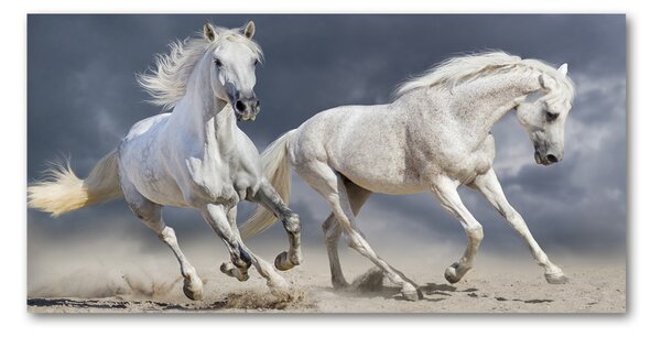 Fotografie imprimată pe sticlă White Beach Horse