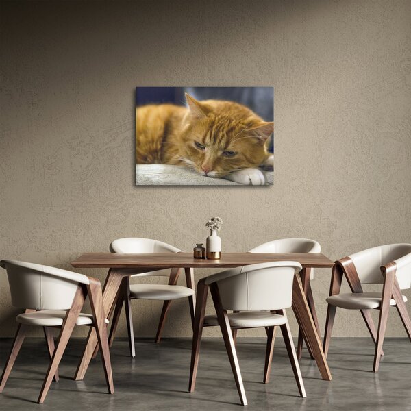 Tablou cu pisica (70x50 cm)