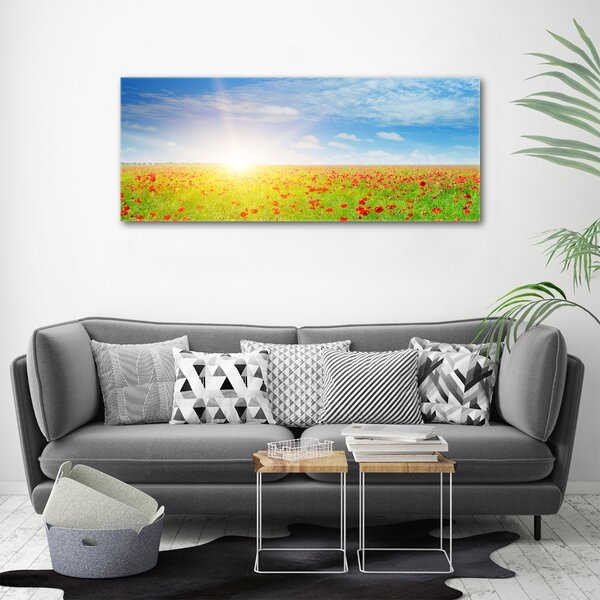 Print pe canvas câmp de maci