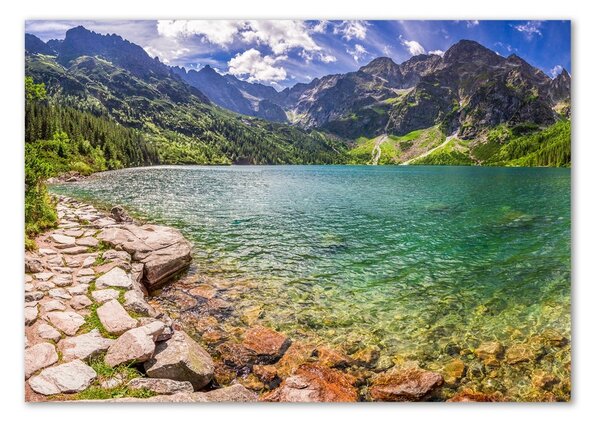 Tablou sticlă Marine ochi Tatry