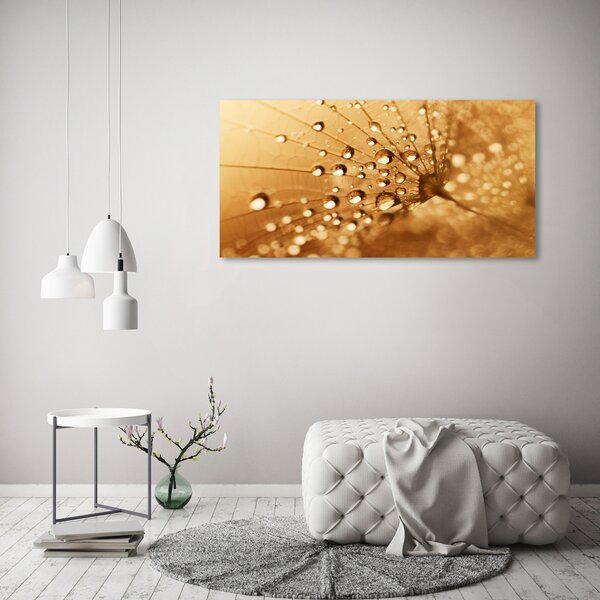 Print pe canvas Păpădie