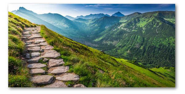 Imagine de sticlă Cale în Munții Tatra