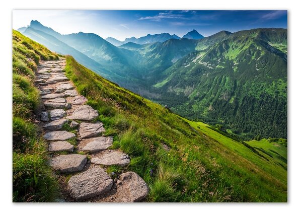 Imagine de sticlă Cale în Munții Tatra