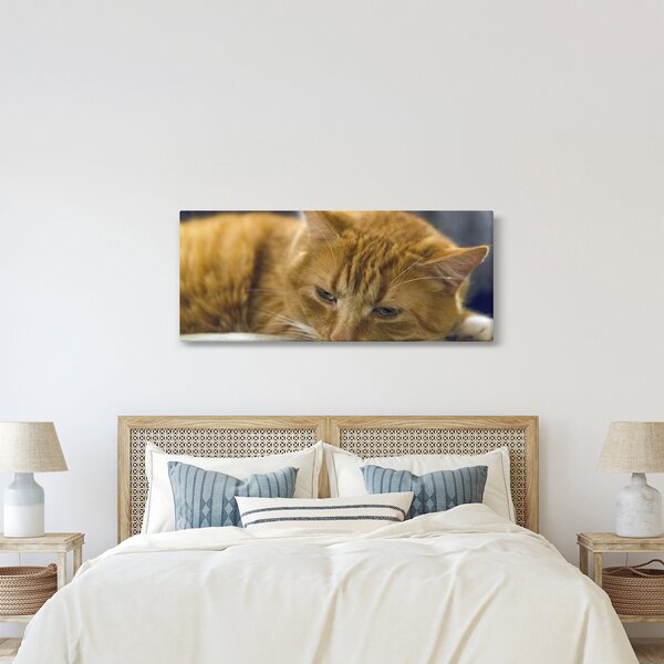 Tablou cu pisica (120x50 cm)