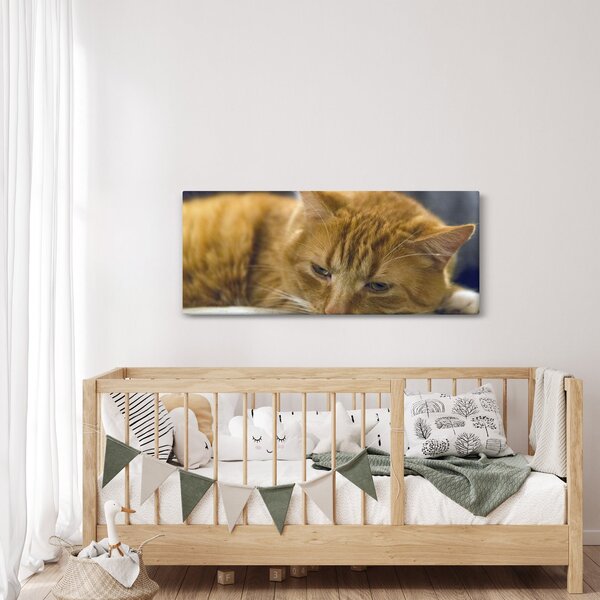 Tablou cu pisica (120x50 cm)