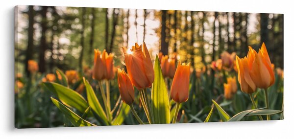 Tablou - florile lalelelor (120x50 cm)