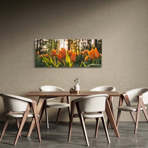 Tablou - florile lalelelor (120x50 cm)