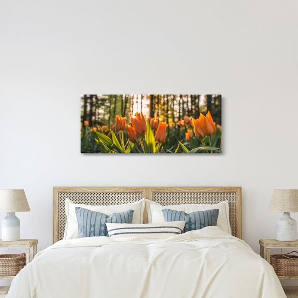 Tablou - florile lalelelor (120x50 cm)