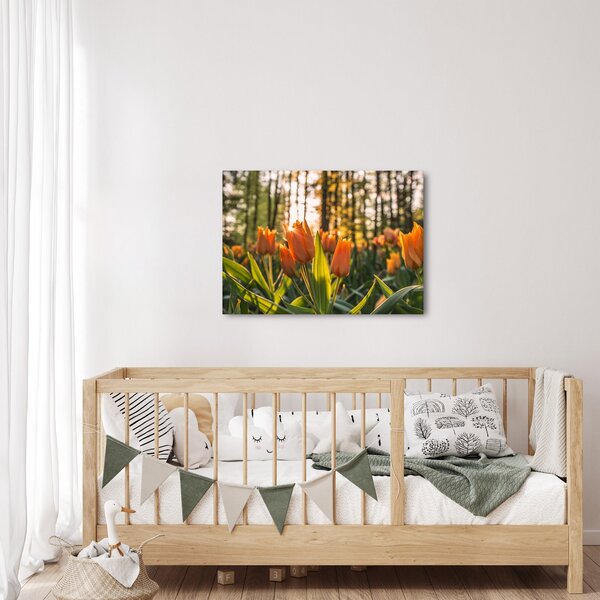 Tablou - florile lalelelor (70x50 cm)
