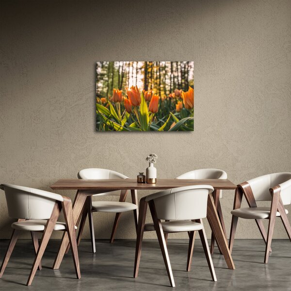 Tablou - florile lalelelor (70x50 cm)