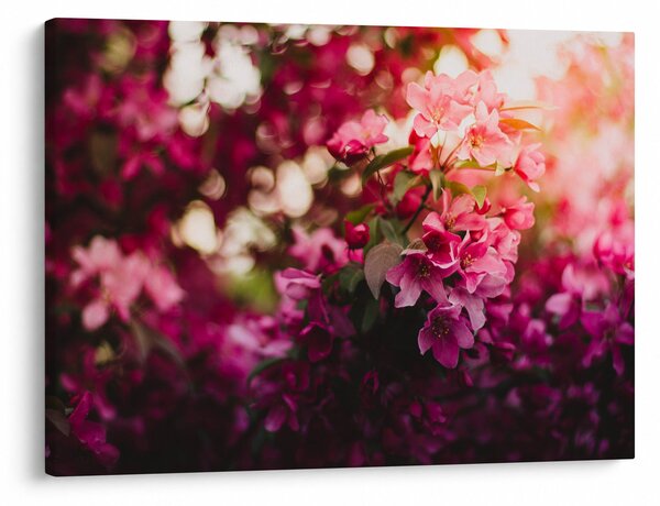 Tablou cu florile tufișului înflorit (70x50 cm)