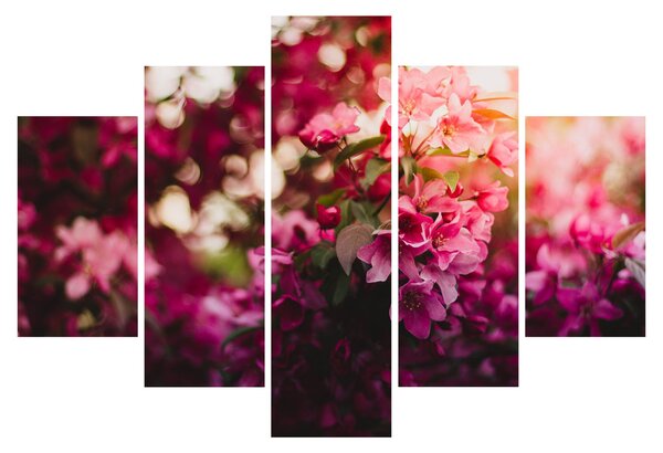 Tablou cu florile tufișului înflorit (150x105 cm)