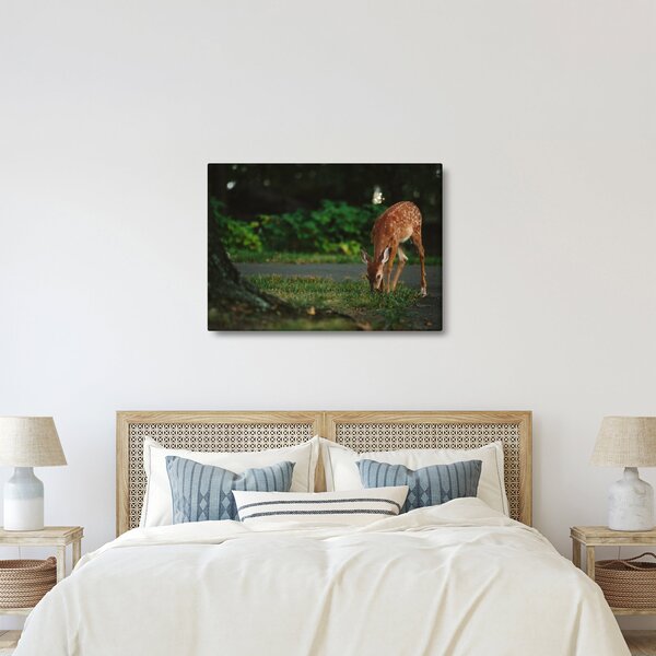 Tablou cu pui de cerb (70x50 cm)