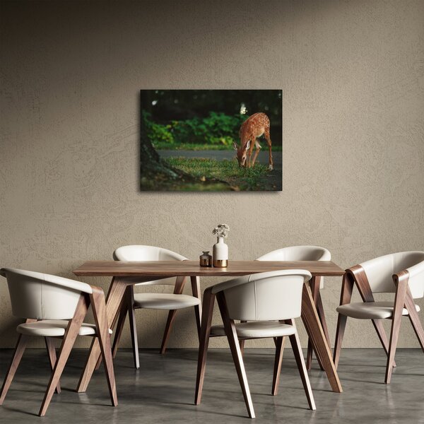 Tablou cu pui de cerb (70x50 cm)