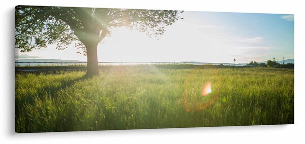 Tablou cu lunca în vară (120x50 cm)