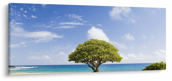 Tablou plaja cu copac (120x50 cm)