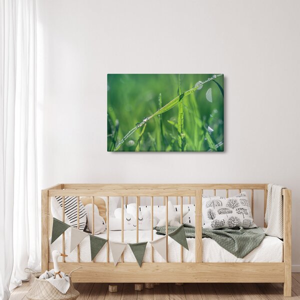 Tablou cu picături de rouă (90x60 cm)