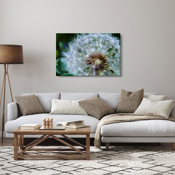 Tabloul cu păpădie desflorit (90x60 cm)