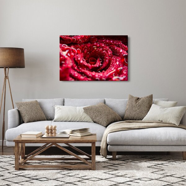 Tablou cu floarea trandafirului roșu (90x60 cm)