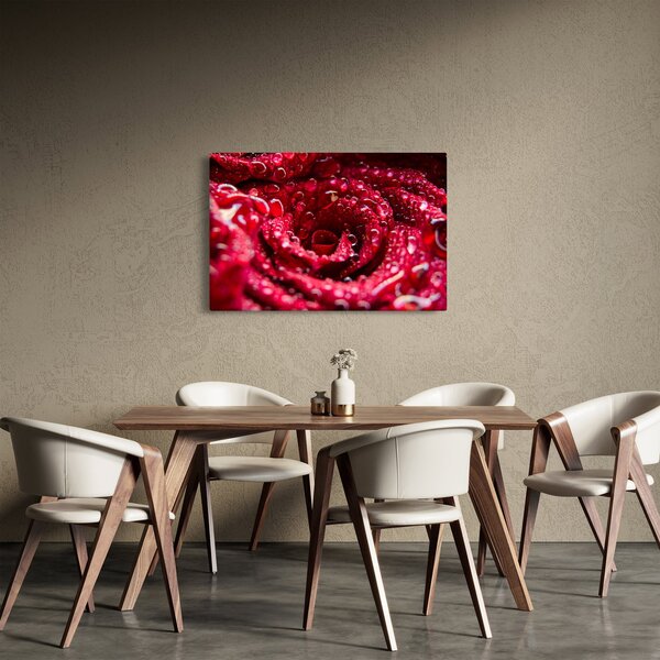 Tablou cu floarea trandafirului roșu (90x60 cm)