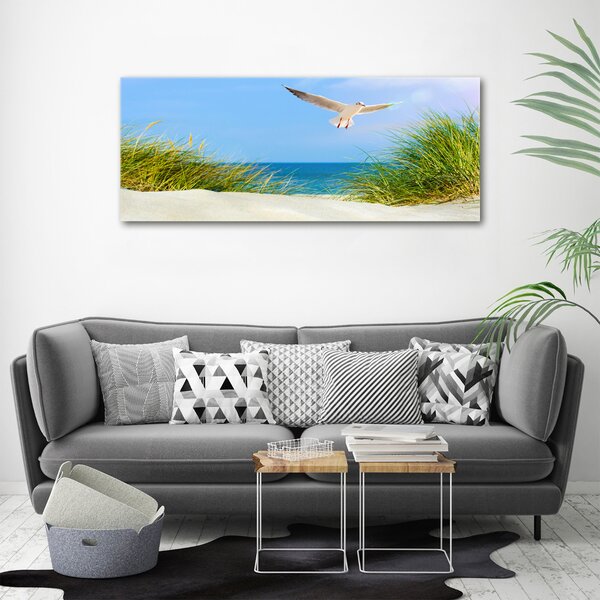 Print pe canvas Seagull pe plajă