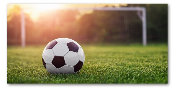 Tablou pe pe sticlă Fotbal